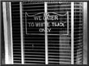 whiteonly.jpg